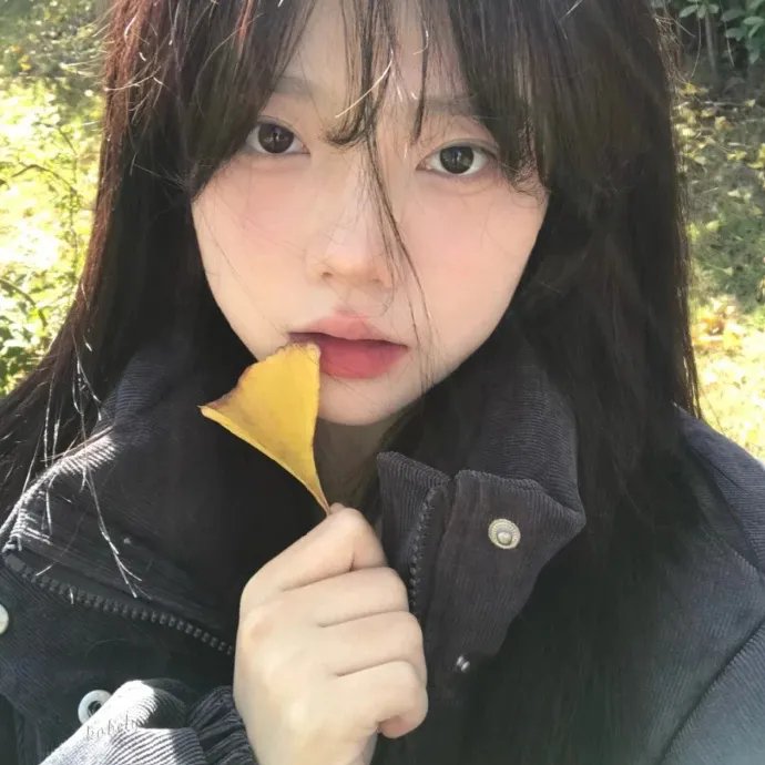 桃花泣血记
